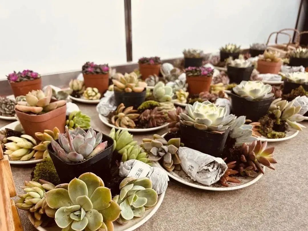 1689579129813473.jpg 640.jpg