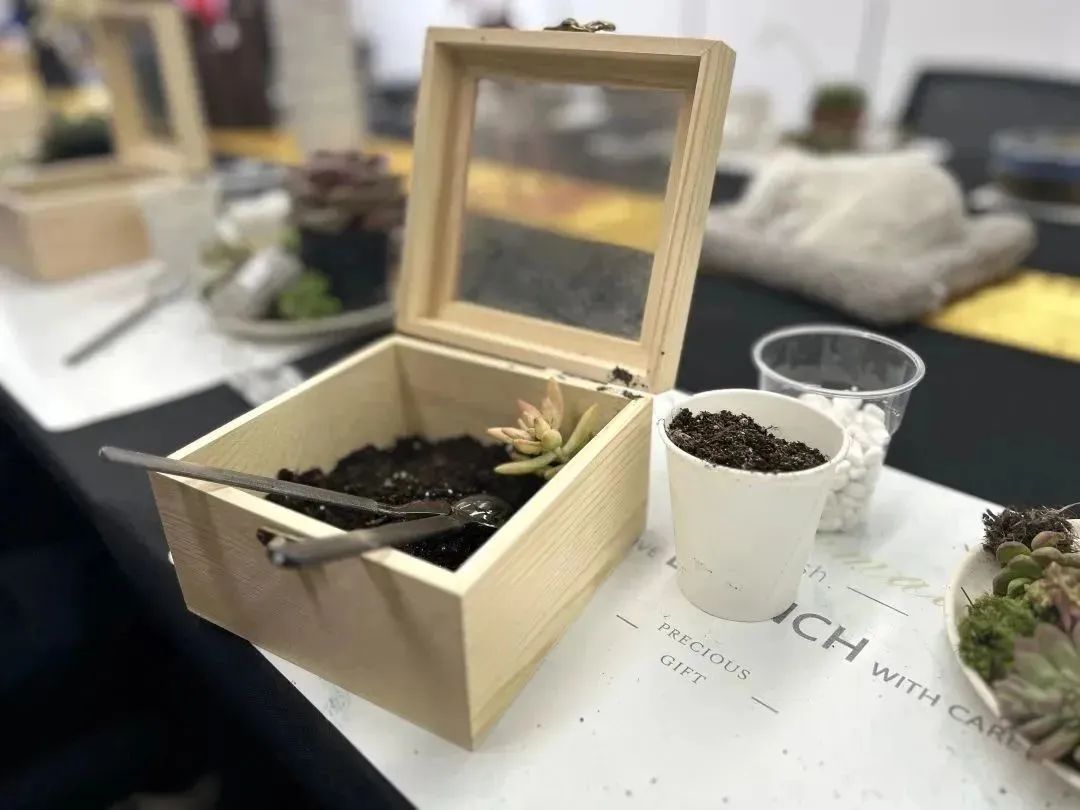 1689579149873699.jpg 640 (2).jpg